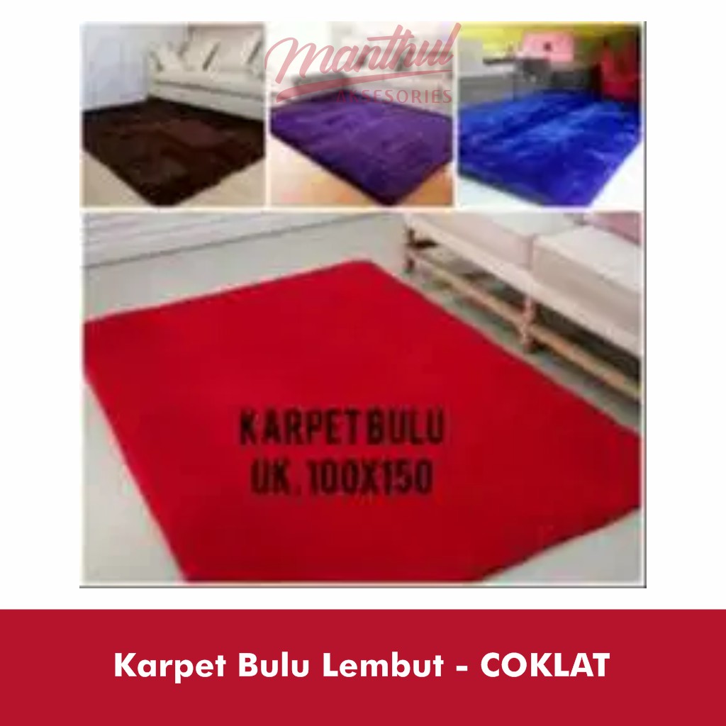 Karpet Bulu Lembut - Mudah Dicuci