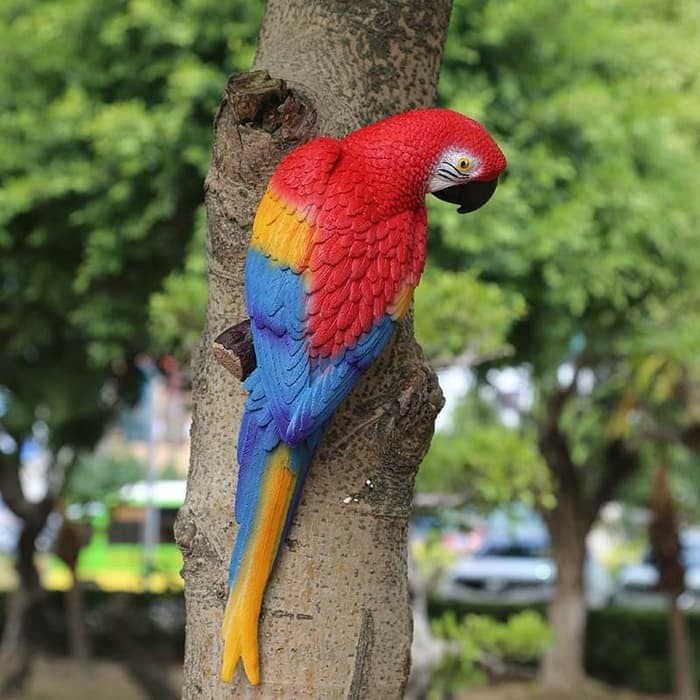 64 Koleksi Gambar Burung Macaw Kartun Terbaik