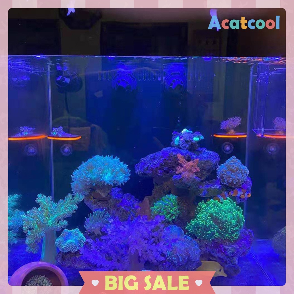 Fish Tank Fluorescence Coral Frag Rack Aquarium Reef with Plug Holder Stand