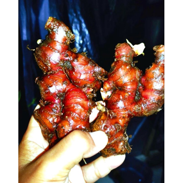 

JAHE MERAH