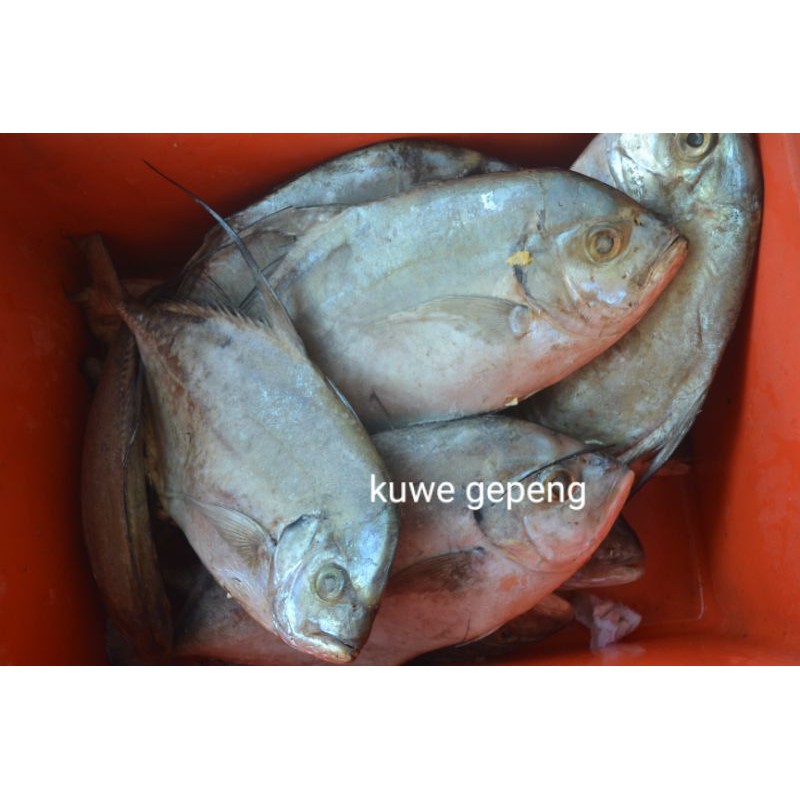 

kuwe gepeng