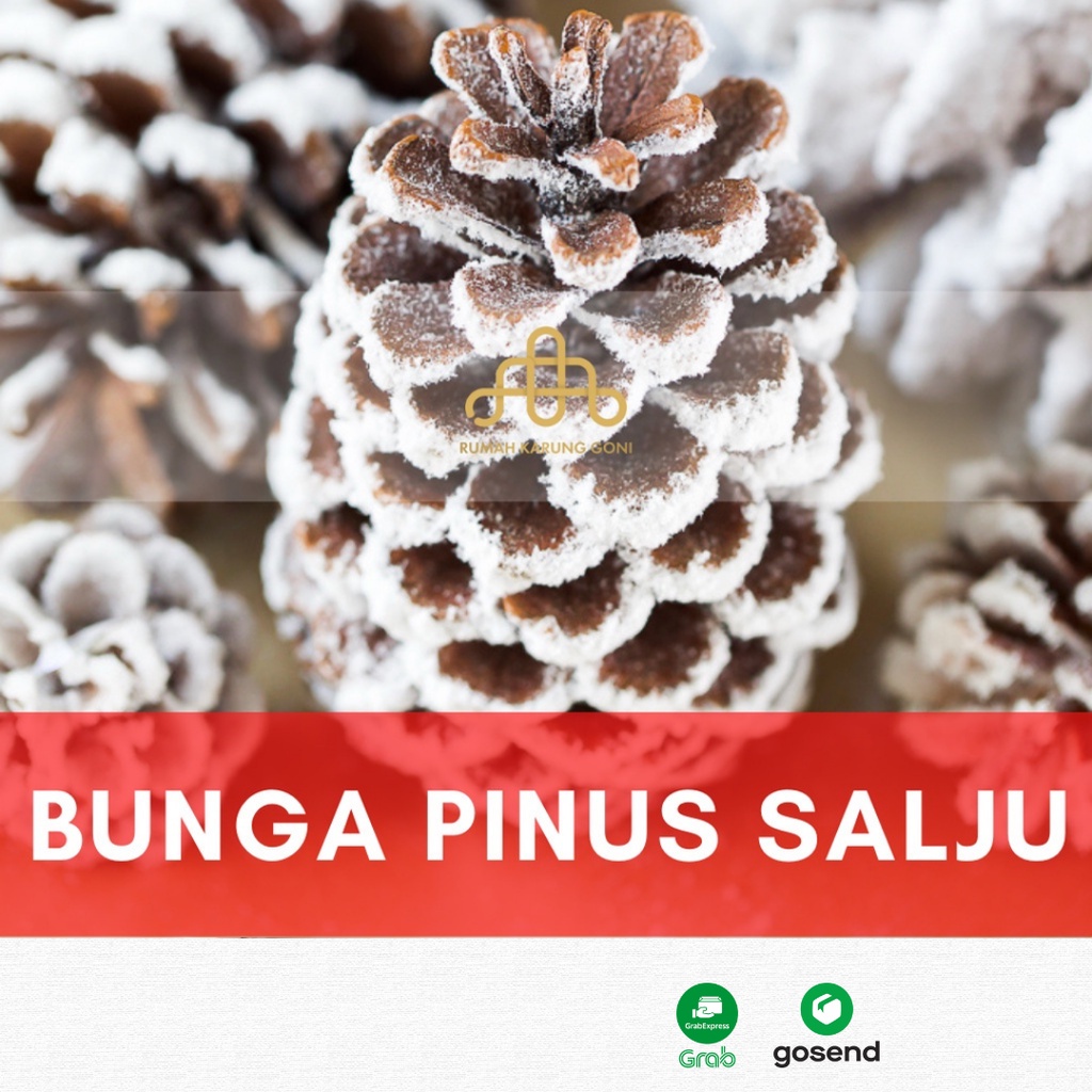 Dekorasi Mahar Bunga Pinus Salju- Bunga Kerajinan Prakarya- Hiasan Mahar