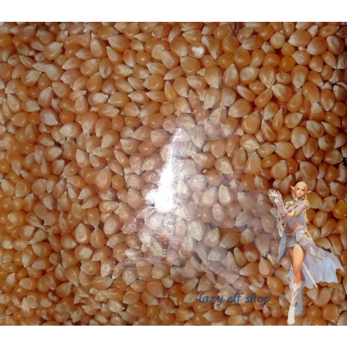 

Q12 Biji Jagung Popcorn 250Gr Big One Pop Corn Seed Kernel Mentah Dw51qs