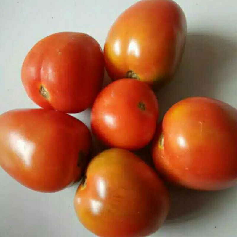 

Tomat Merah / Tomat Ijo 250gr