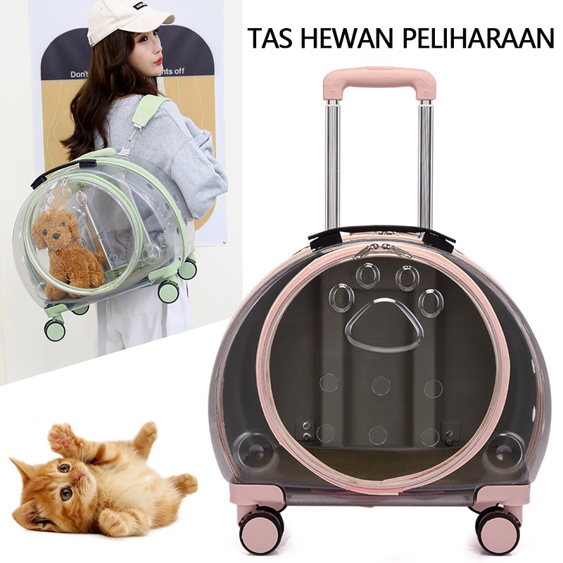 Tas Troli Hewan Peliharaan PC Tas Ransel Hewan Peliharaan Kotak Udara Transparan