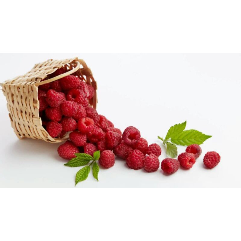 Benih Buah Unggul Raspberi Buah Raspberry