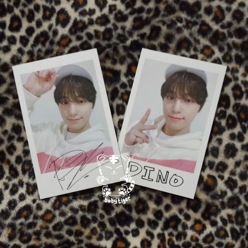 pola caratland dino seventeen SET