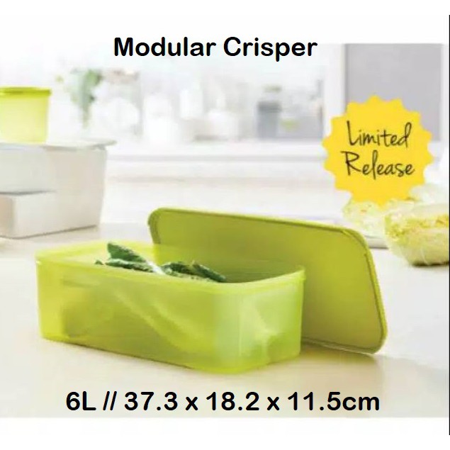 modular crisper 6 Liter lime / guava ecer 1pc