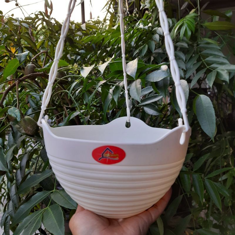 Pot Bunga Gantung Alexish Lily Paris Putih / Pot Tanaman