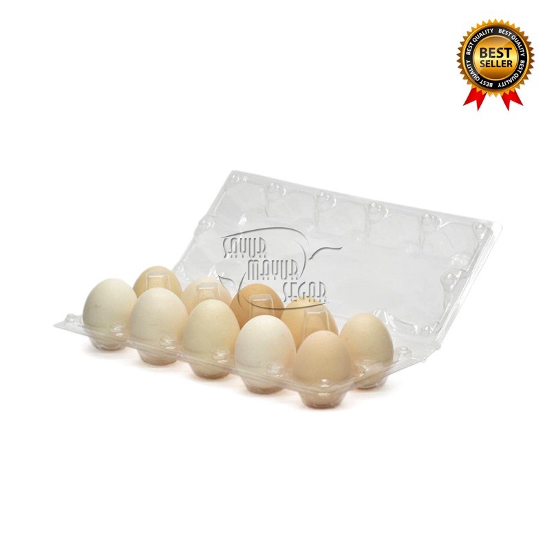 

KIRIM INSTAN Telur Ayam Kampung / Telor Ayam Kampoeng ( 10 Butir )