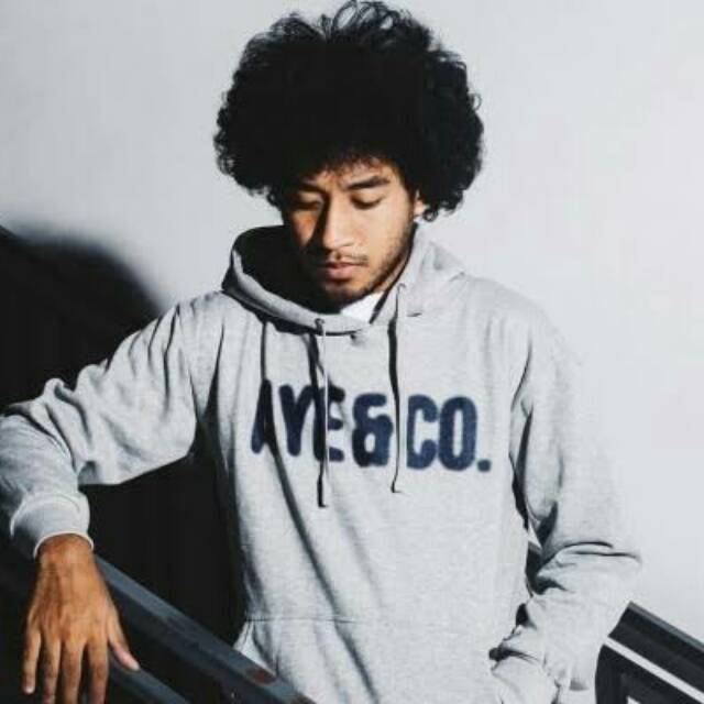 HOodie  SWEATER Pria mvp (AYE&CO.) DISTRO KEKINIAN HOODIE SIMPLE KEREN