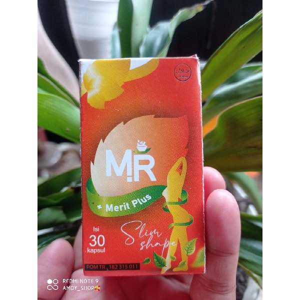 PELANGSING MR ORIGINAL DIJAMIN LANGSING