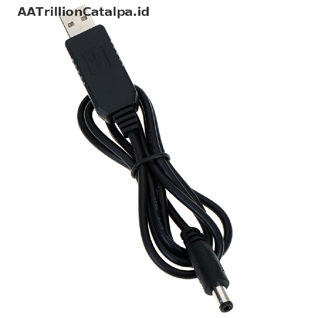 Modul Konverter Kabel Konektor step up Usb dc 5v Ke dc 12v 2.1x5.5mm male