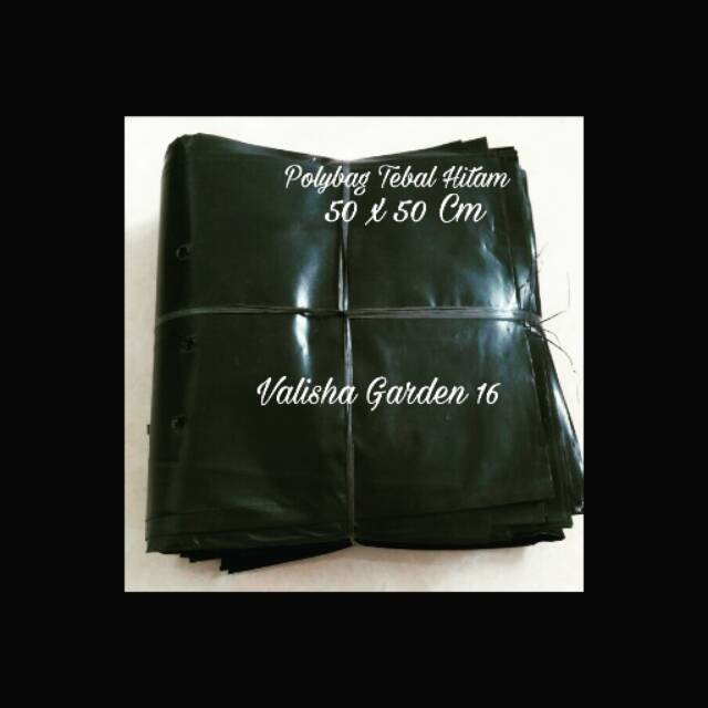 Polybag Hitam Tebal 50 x 50   10 Lembar