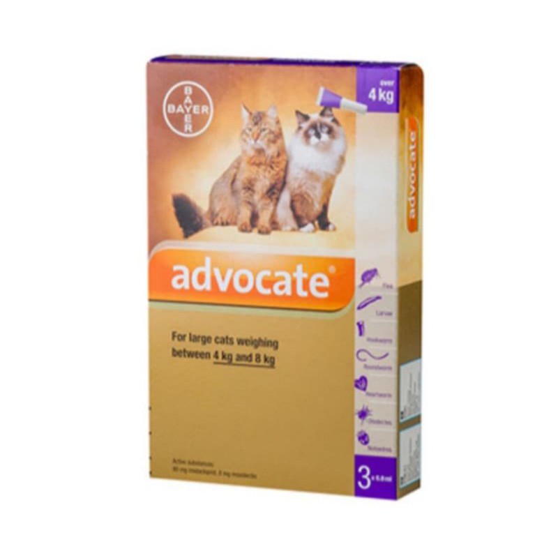 (1tube) Advocate cat 4 - 8 kg - obat tetes kutu kucing