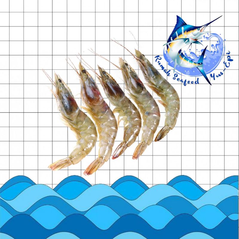 

Udang Kecil - rumahseafoodyusepi