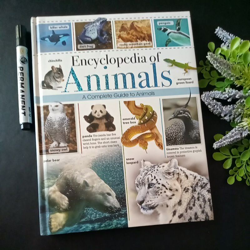 Buku encyclopedia of animals inggris prelove