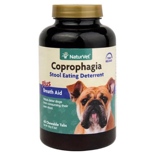 Coprophagia deterrents obat makan poop buat anjing kucing