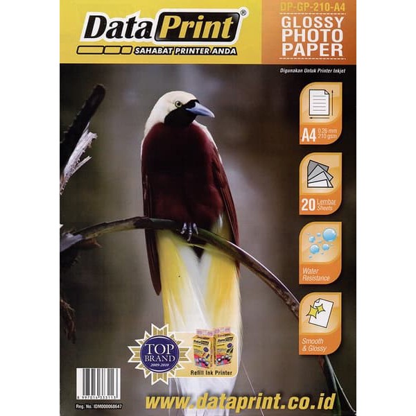 

Kertas Glossy A4 210 gram Data Print DATAPRINT