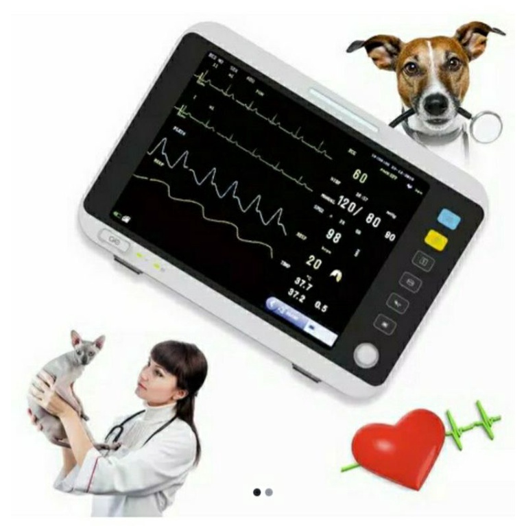 multiparameter cclor  monitor 12 inch  vet   ecg nibp spo2  temperature 
