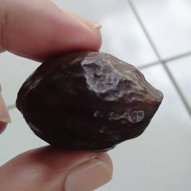 Muncang adu jayanti super si Poek