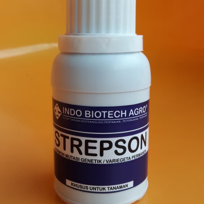 Hormon strepson Promo Ongkir Original Quality