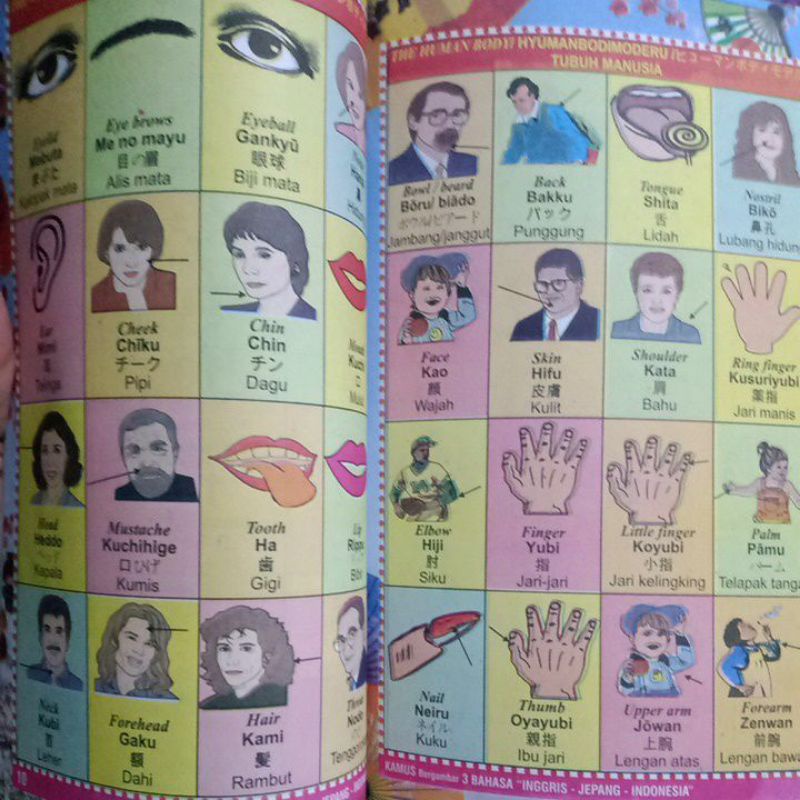 Buku Kamus 3 Bahasa Inggris/Jepang/Indonesia Bergambar Dilengkapi Percakapan untuk Pelajar &amp; Umum