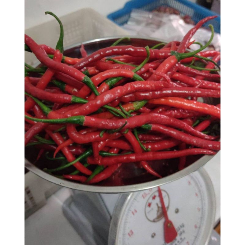 

Cabe Merah Murah promo Chili murah best seller