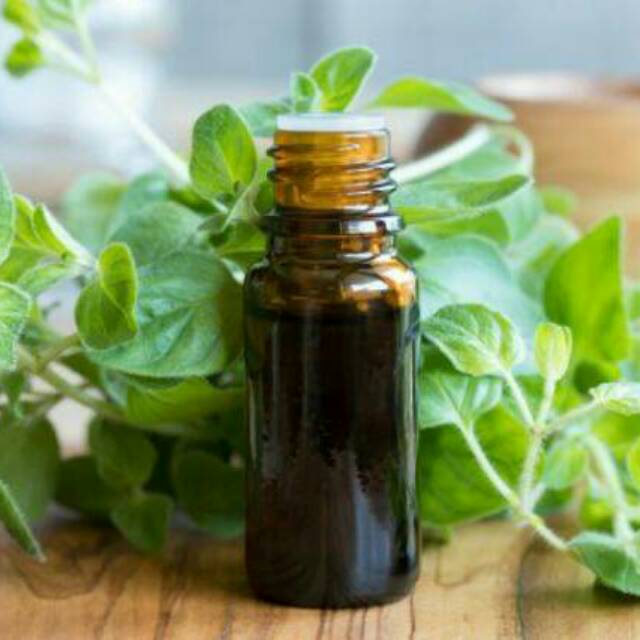 

Minyak Marjoram / Marjoram Oil
