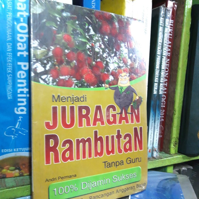 

Menjadi Juragan Rambutan Tanpa Guru