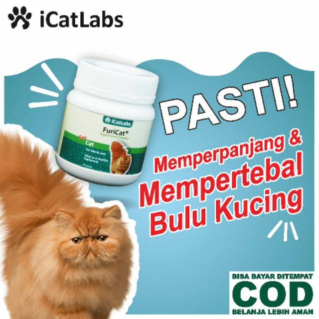 Jual [B07] FURICAT KUCING VITAMIN KUCING CAT FOOD MAKANAN KUCING BULU