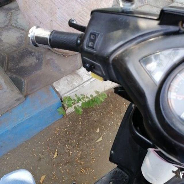 Follow Me Kids Shampoo Orange 800ml