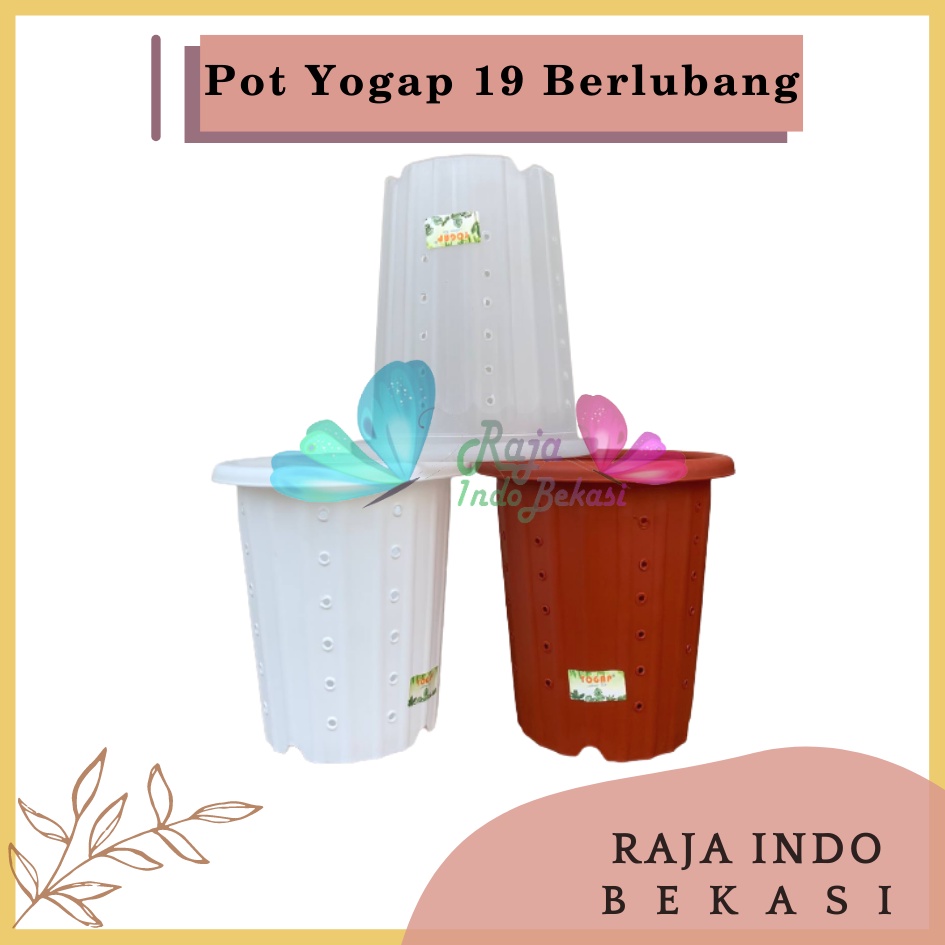 Pot Yogap 19 Putih Bening Transparan Merah Bata Merah Coklat Terracota Terracotta Berlubang POT BUNGA YOGAP UKURAN 19 DIAMETER 23CM BERLUBANG