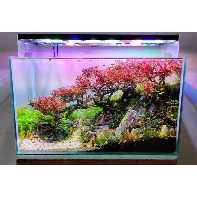 Santigi pasir size L