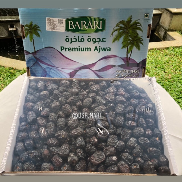 Kurma Ajwa Barari Indonesia