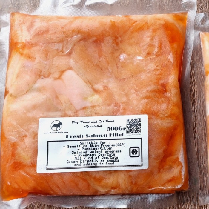 CODE555 Norway Salmon Fillet 500gr / Dog Cat Raw Food Makanan Anjing Kucing termurah