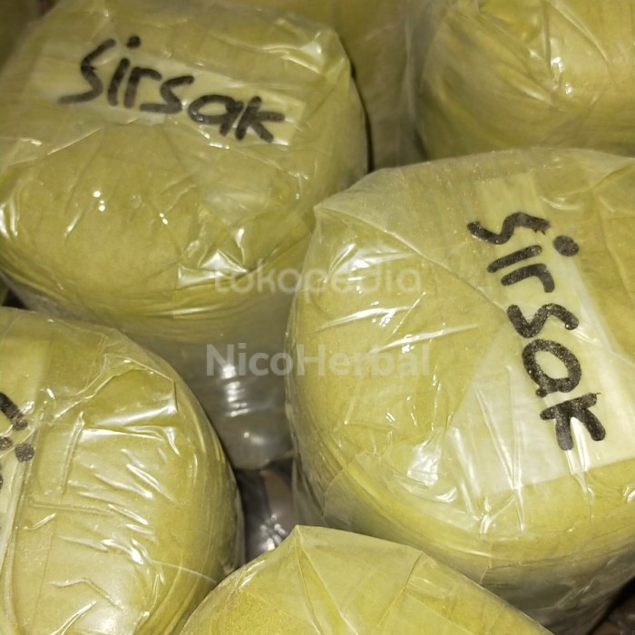 

Bubuk Daun Sirsat 1kg (MURNI)