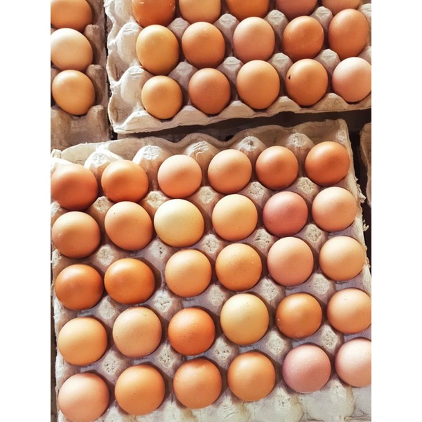 

Telur Ayam FRESH