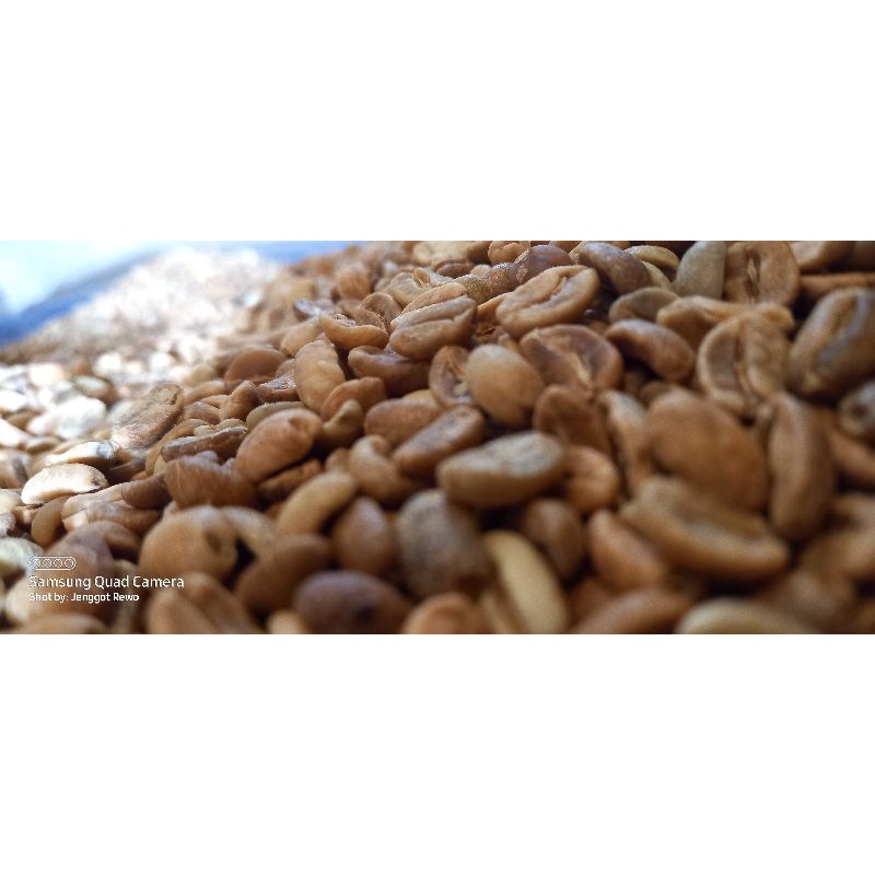 

arabica wine