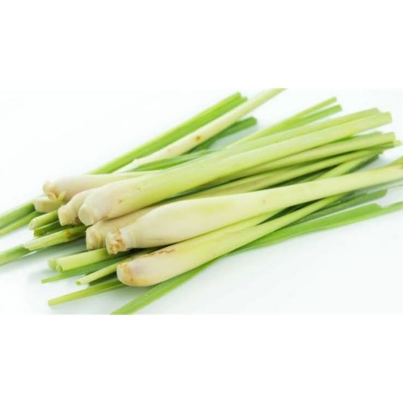 

daun sereh