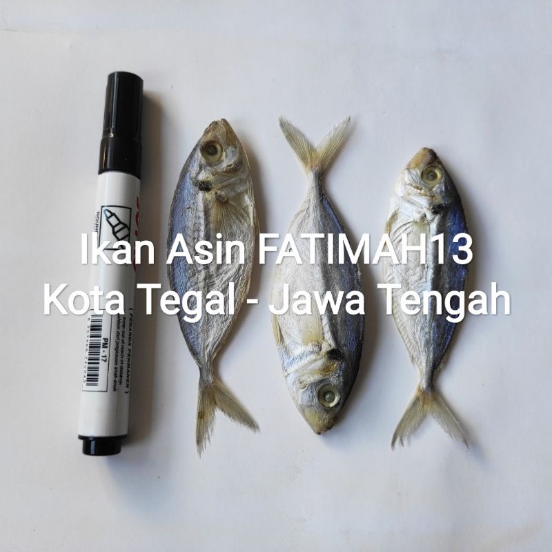 

Ikan Asin Selar 500gram Ikan Asin FATIMAH13