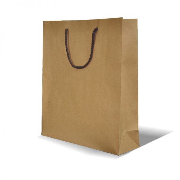 

Paperbag 10 pcs / tas kertas / size 20x19x10 cm (PO) kertas kraft coklat polos