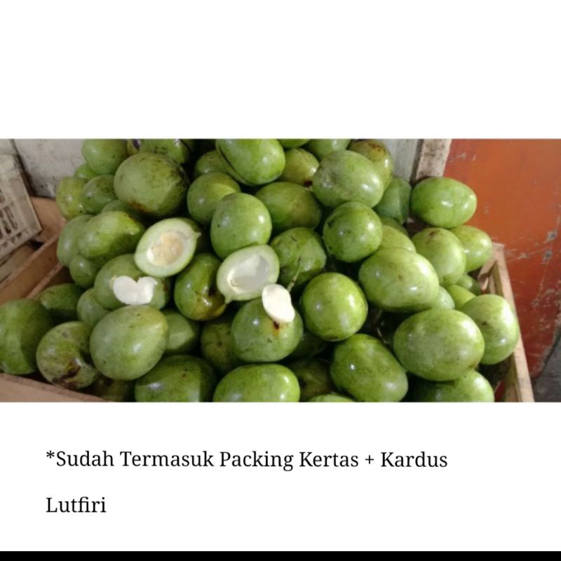 

Mangga Telor Telur or keong Muda Mentah 1 kg belah biji asem segar fresh rujak manisan asinan ( DI KIRIM UTUH YA KA)