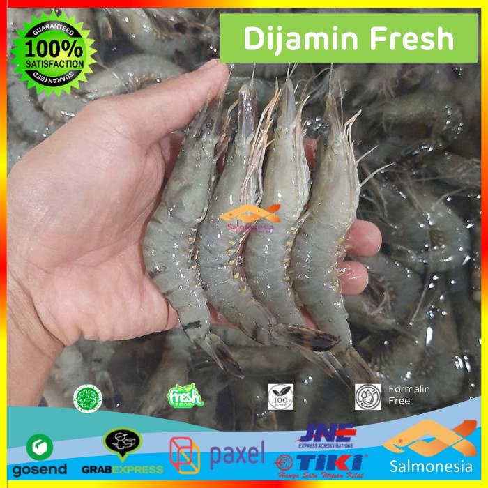 

Premium Seafood Udang Pancet Fresh Sz 40 - 50 /Udang Tiger Prawn Murah