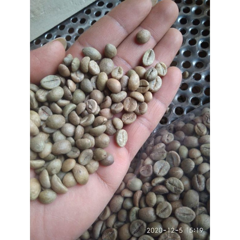 

kopi-hutan-organik-1kg
