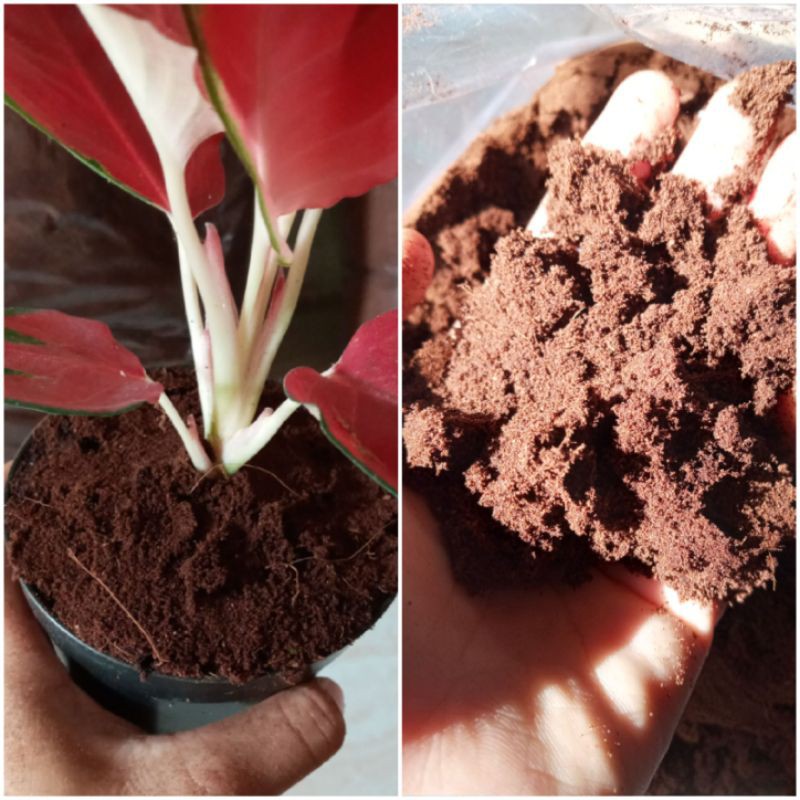 COCOPEAT HALUS 500gram /MEDIA TANAM COCOPEAT/COCOPEAT MURAH
