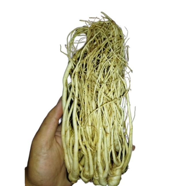 

Akar ginseng segar | pack