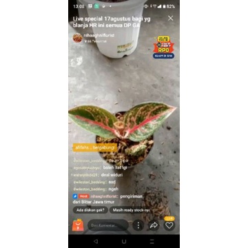 aglo widuri kak wahyunik