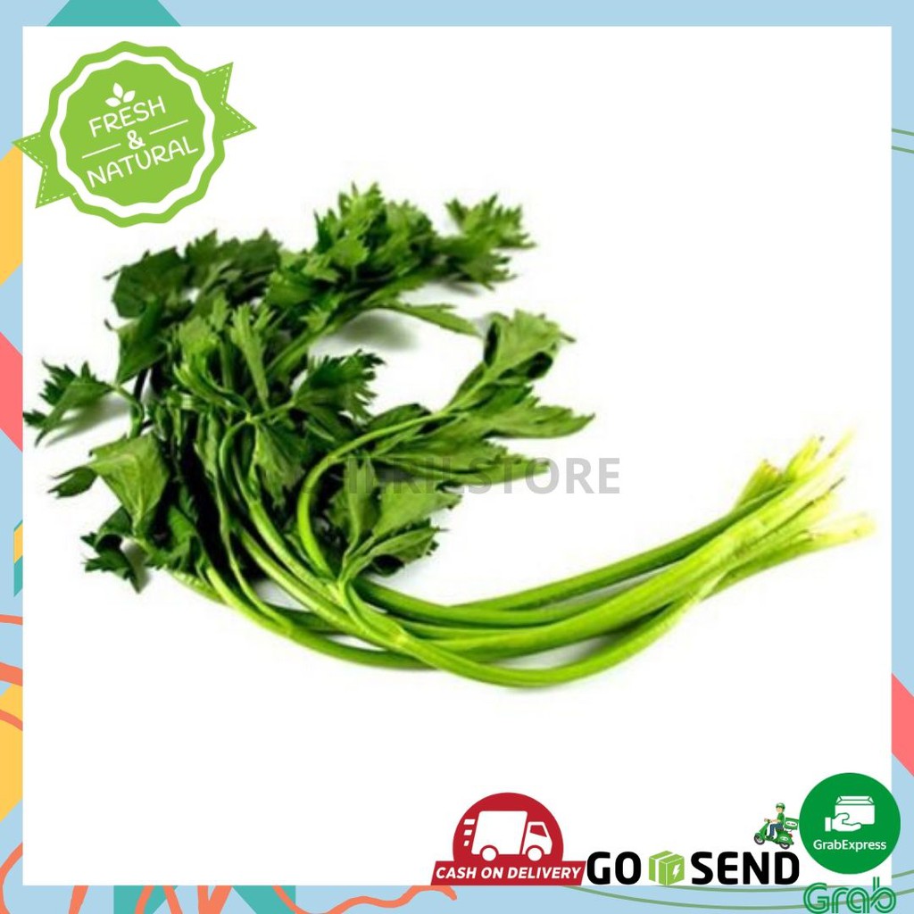

SELEDRI / SAYUR SAYURAN SEGAR JAKARTA / PER IKAT