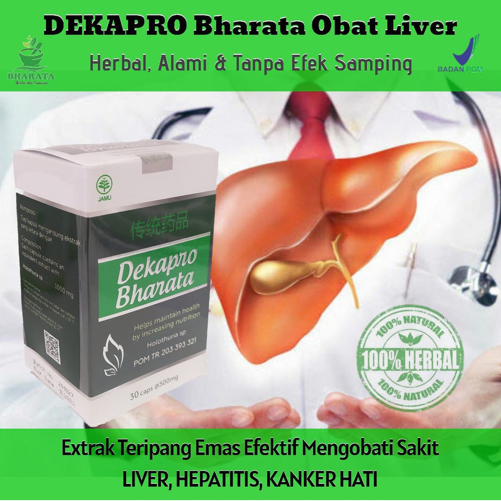 OBAT PENYAKIT HATI LIVER SIROSIS GAGAL FUNGSI HATI HEPATITIS A HEPATITIS B DAN HEPATITIS C HERBAL